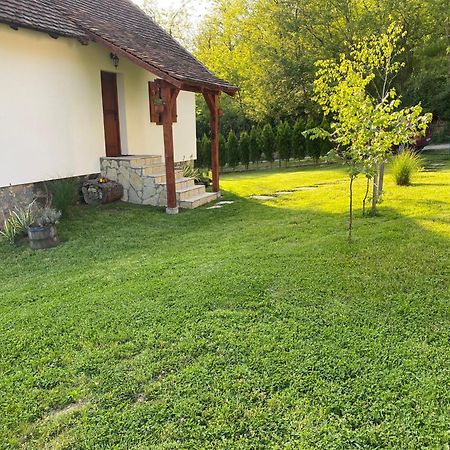 Rudnicki Eko Breg Villa Rudnik Exterior photo